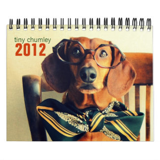 dachshund wall calendar 2012 - tiny chumley