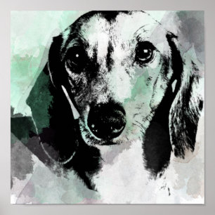 Dachshund Watercolor Print. Poster