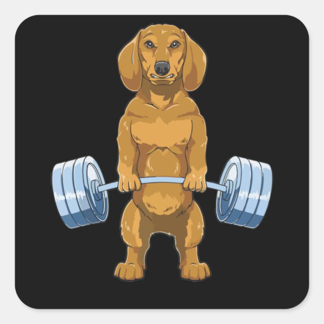 Dachshund Weightlifting Deadlift Fitness Gym Square Sticker (Front)