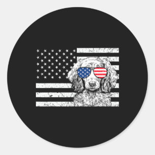 Dachshund Weiner Dog 4th Of July Us American Flag Classic Round Sticker