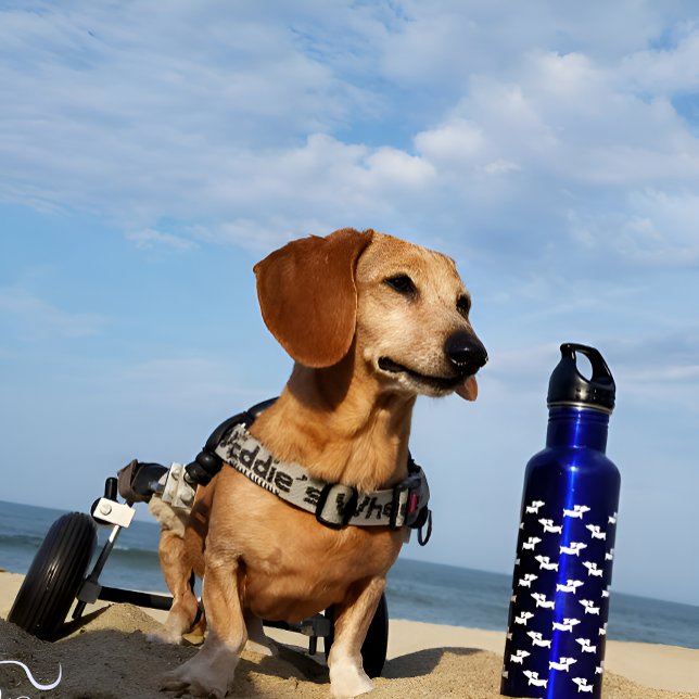Dachshund Wiener Dog Blue Water Bottle (Dachshund water bottle)