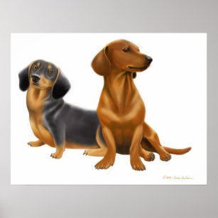 Dachshund Wiener Dogs Print