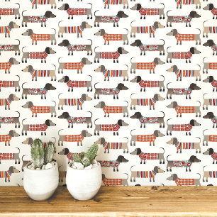 Dachshund Wiener Sausage Dog Wallpaper
