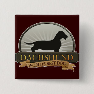 Dachshund [Wire-haired] 2 Inch Square Button