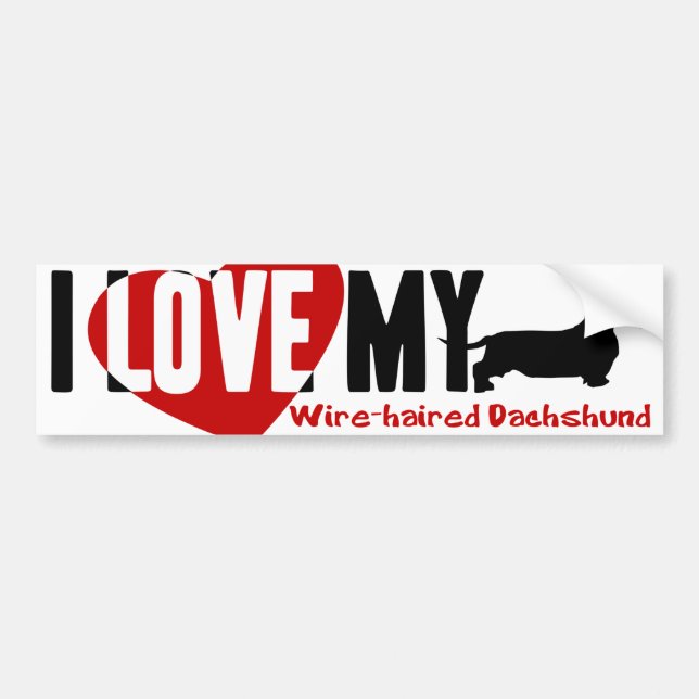 Dachshund [Wire-haired] Bumper Sticker (Front)