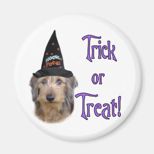 Dachshund (wire) Trick Magnet