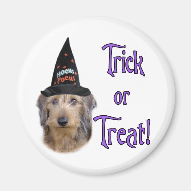 Dachshund (wire) Trick Magnet (Front)