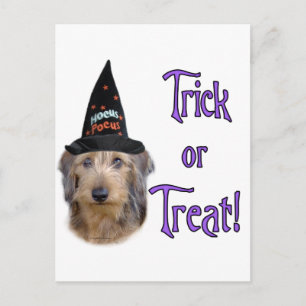 Dachshund (wire) Trick Postcard