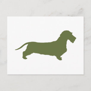 Dachshund Wirehaired Postcard