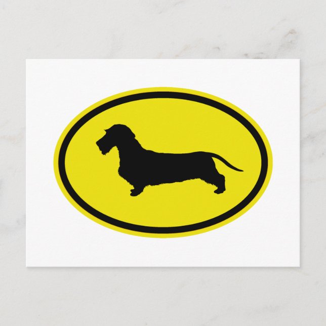 Dachshund Wirehaired Postcard (Front)