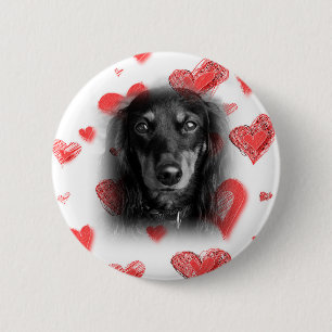 Dachshund with Red Hearts 2 Inch Round Button