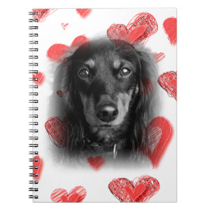 Dachshund with Red Hearts Notebook