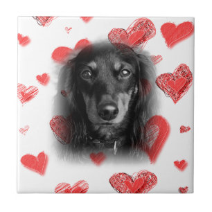 Dachshund with Red Hearts Tile