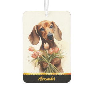 Dachshund with tulips in sunny garden, air freshener