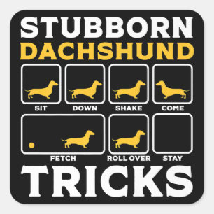 Dachshund Women Men Funny Mom Dad Gift Dog Lover Square Sticker
