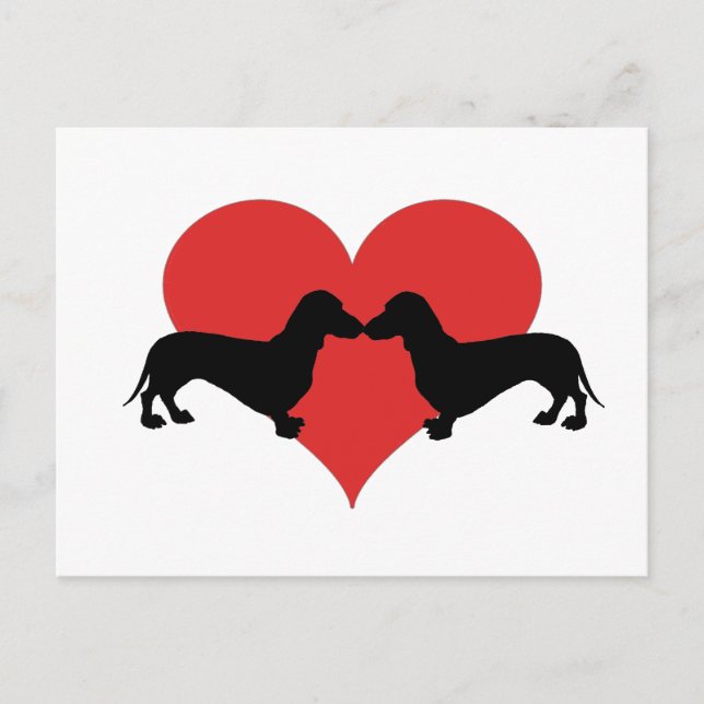 Dachshundlove Postcard (Front)