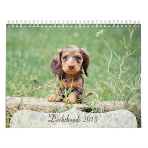 Dachshunds 2015 calendar