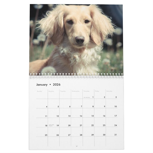 Dachshunds 2015 calendar (Jan 2026)