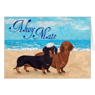 Dachshunds at the Beach
