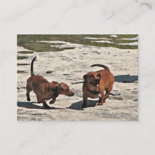 Dachshunds ATC Business Card