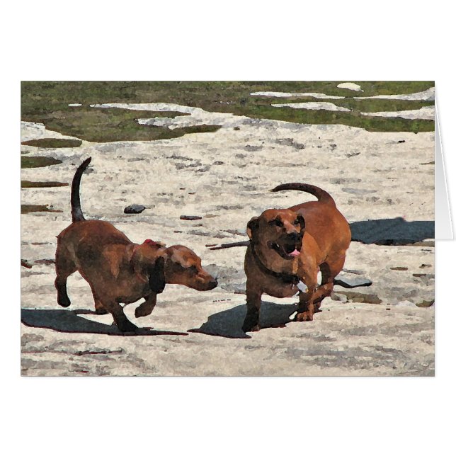 Dachshunds Blank Card (Front Horizontal)