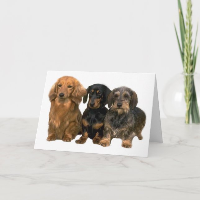 Dachshunds Card (Front)
