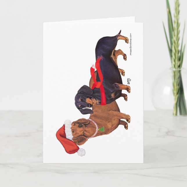 Dachshunds Christmas Holiday Card (Front)