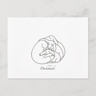 Dachshunds 'Curled Together'.jpg Postcard