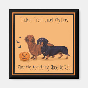 Dachshunds Halloween Magnet