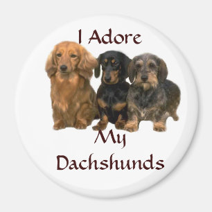 Dachshunds I Adore Magnet