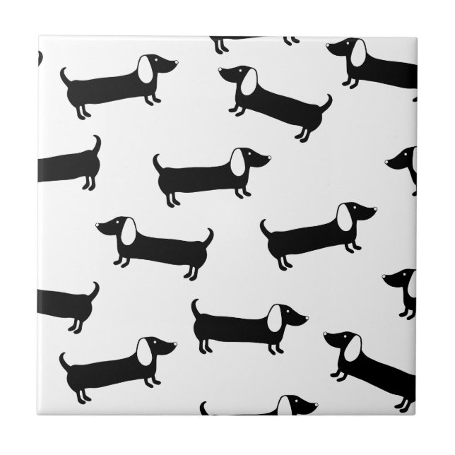 Dachshunds in black and white tile (Front)