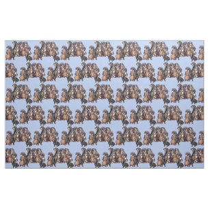 Dachshunds in Blue Fabric