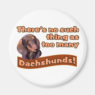 DACHSHUNDS MAGNET