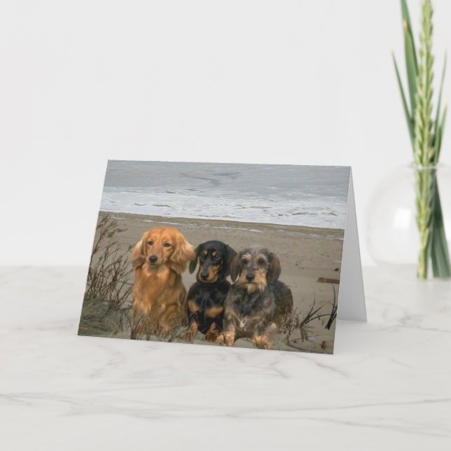 Dachshunds On The Beach Card (Front)