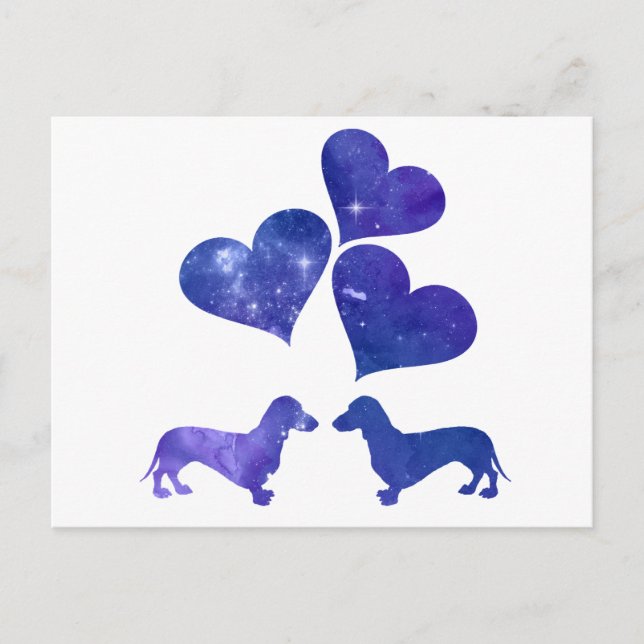 Dachshunds Postcard (Front)
