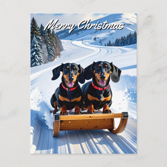 Dachshunds Sled Christmas Postcard (Front)