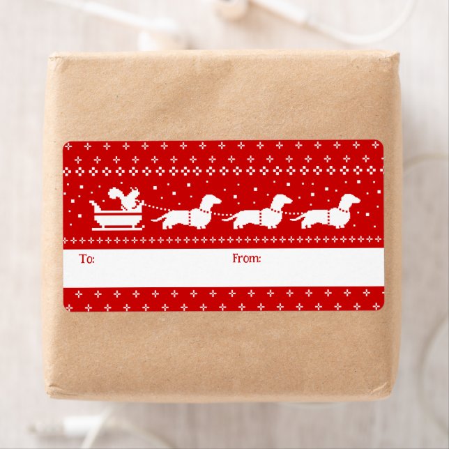 Dachshunds Sleigh de Noël avec un cadeau d'écureui (En situation)