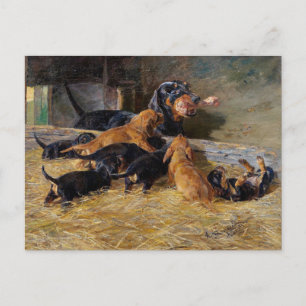 Dachshunds with Puppy in the Stable Hermine Bieder Postcard