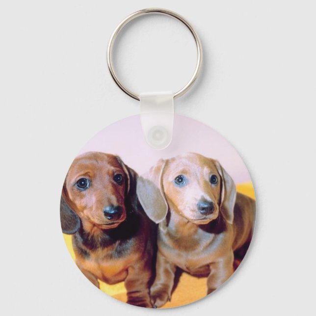 Dachsund Puppies Keychain (Front)