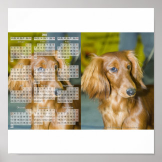 Dackel Kalender 2011 Poster