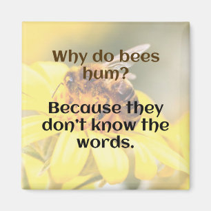 DAD JOKE: Why do bees hum? Magnet