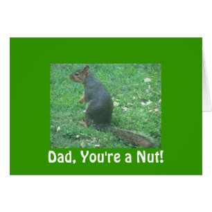 Dad, You're a Nut!