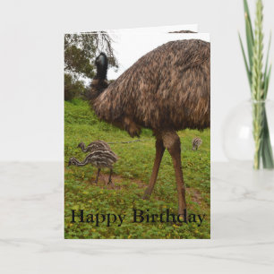 Daddy And Baby Emu Chicks, Birthday Greeting Card. Card