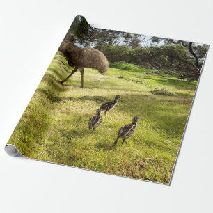 Daddy Emu With Three Chicks, Wrapping Paper