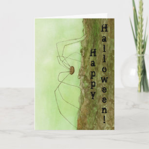 Daddy Long Legs Halloween Card