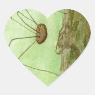 Daddy Long Legs Heart Sticker