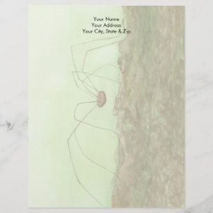 Daddy Long Legs Letterhead