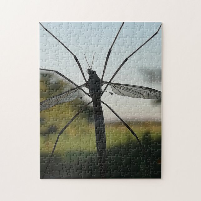 Daddy long legs on a window. jigsaw puzzle (Vertical)