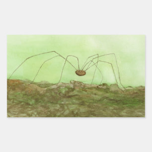 Daddy Long Legs Sticker