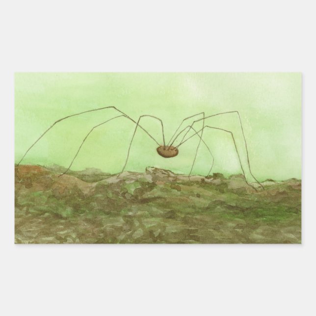 Daddy Long Legs Sticker (Front)